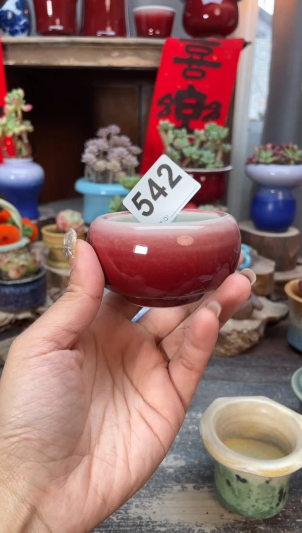 【闪购商品】摆件542知木小芳花盆