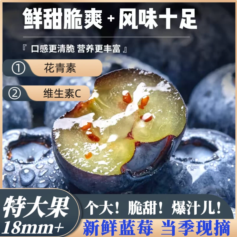 【特大果18-20mm】新鲜现摘花香蓝莓脆甜多汁 顺丰包邮到家