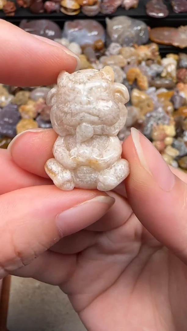 硅化珊瑚（珊瑚玉）未镶嵌颈饰023