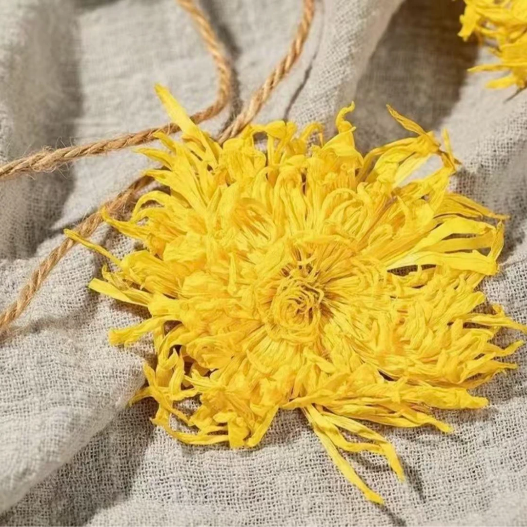 翩鸿本草【金丝菊花  胎菊 白菊花 球菊花】菊花泡茶煮水