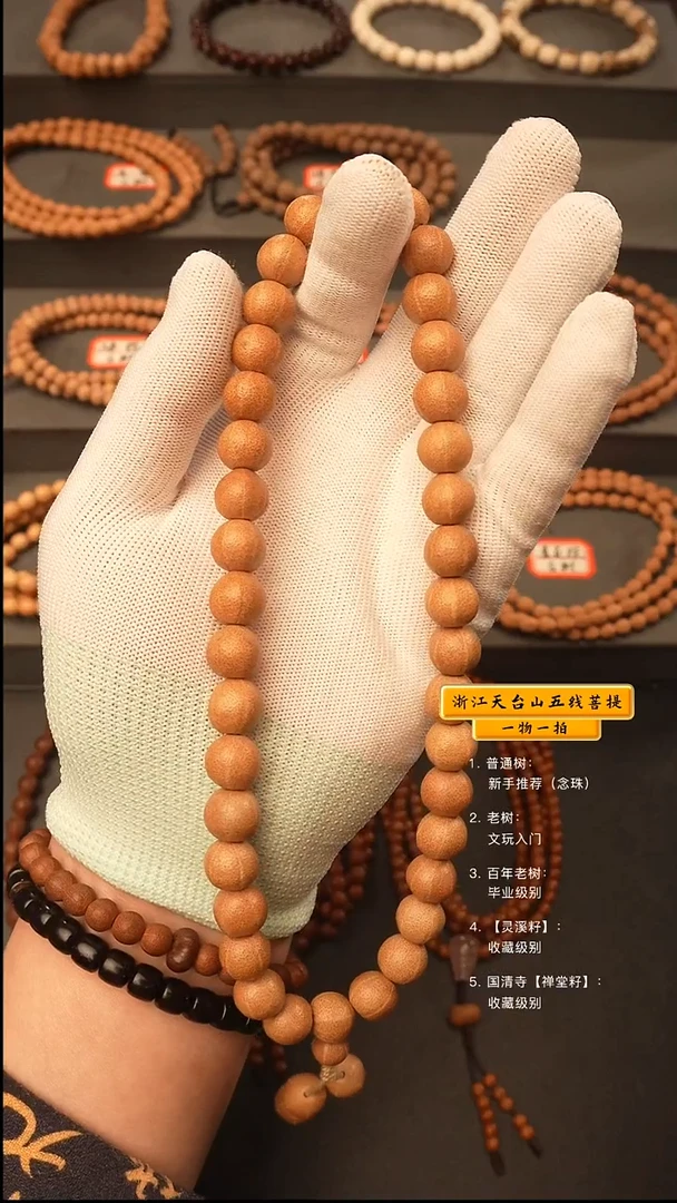吊坠五线菩提手持