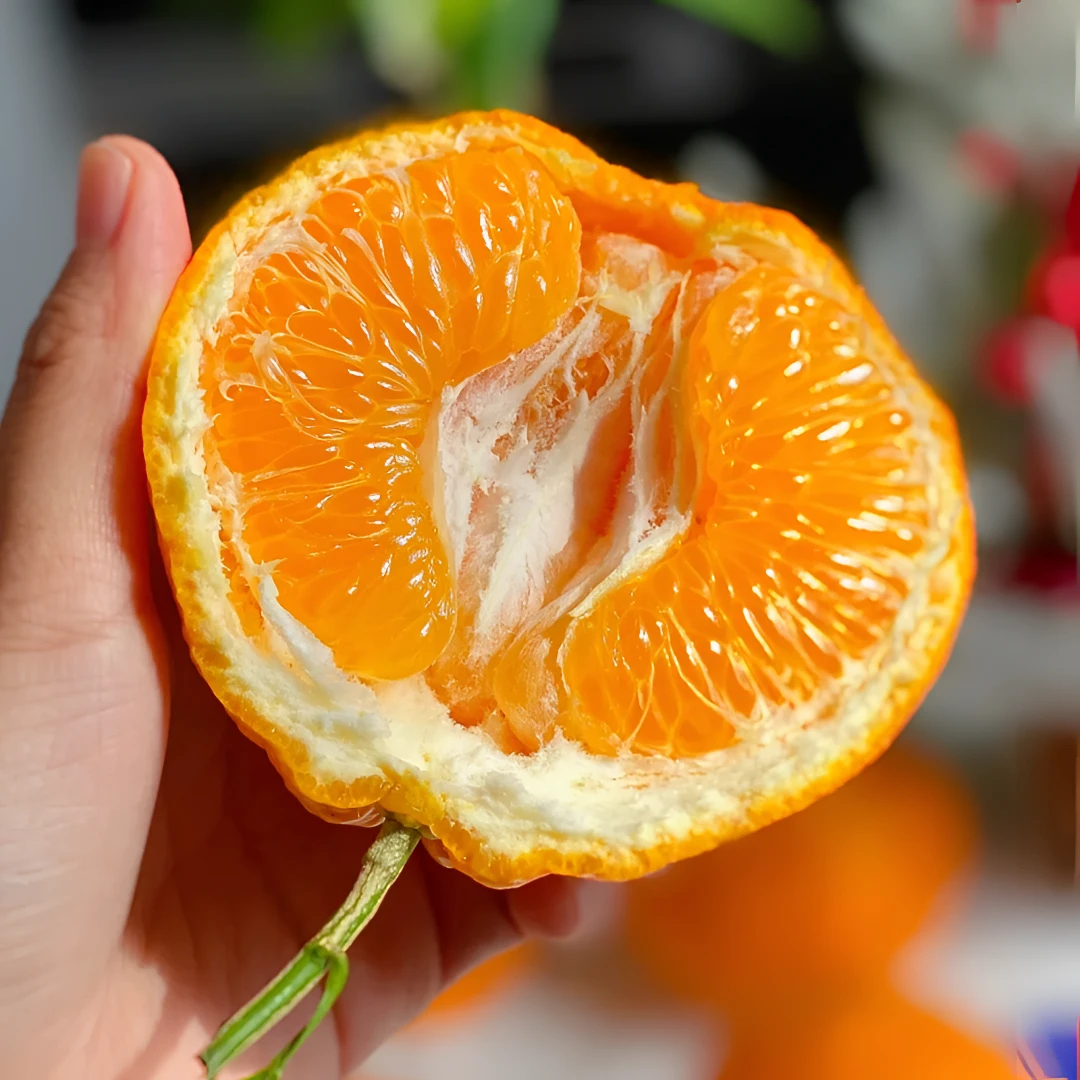 四川春见粑粑柑 新鲜  时令新鲜柑橘 5斤 装 直甜不酸