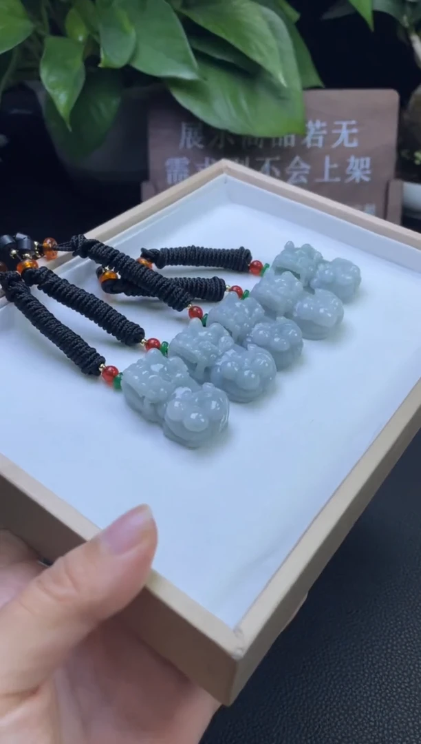 翡翠未镶嵌吊坠(赠链)天然A货翡翠大貔貅-多样性发其一