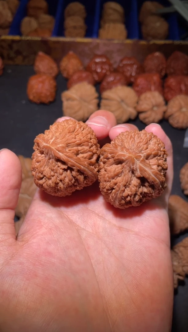 把件文玩核桃披**肠文玩核桃大蒜头