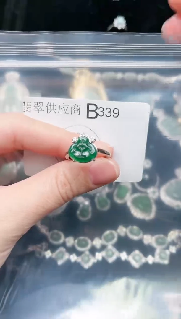 【闪购商品】翡翠颈饰未镶嵌339赠皮绳