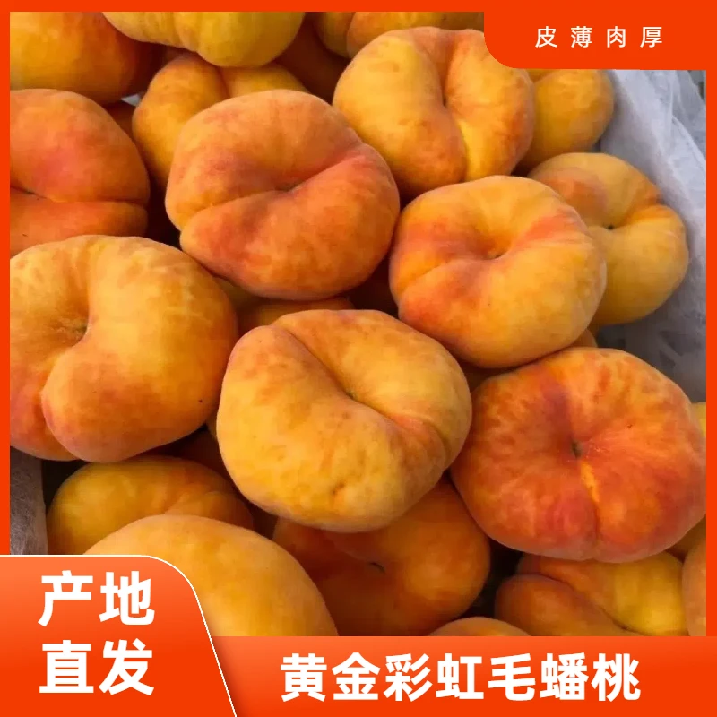 【新鲜采摘】彩虹黄金毛蟠桃应季水果产地直发c