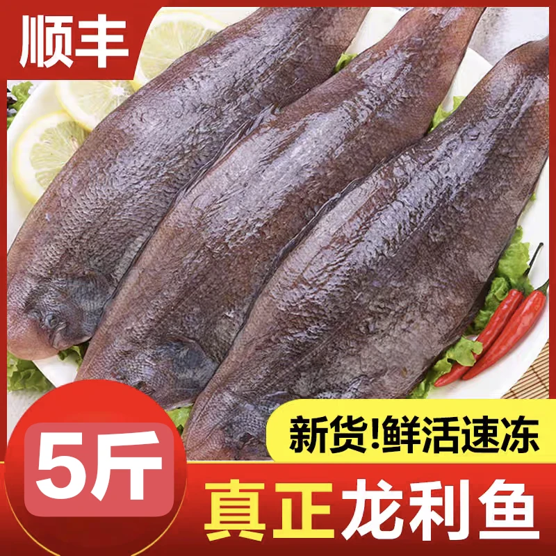 a本地海捕新鲜龙利鱼5斤鳎目鱼肉质鲜嫩美味辅食野生鱼一斤约4条