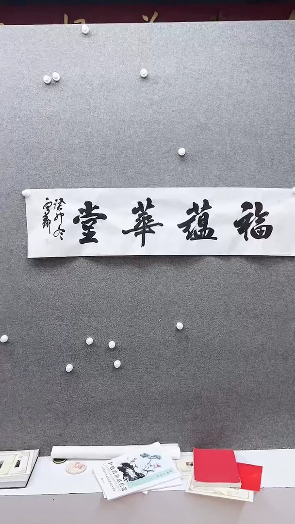 国画宁静作品臻选C895