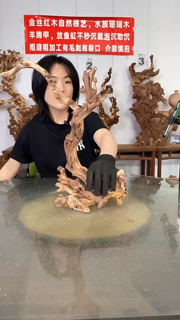香榧木金丝红木 羊蹄甲