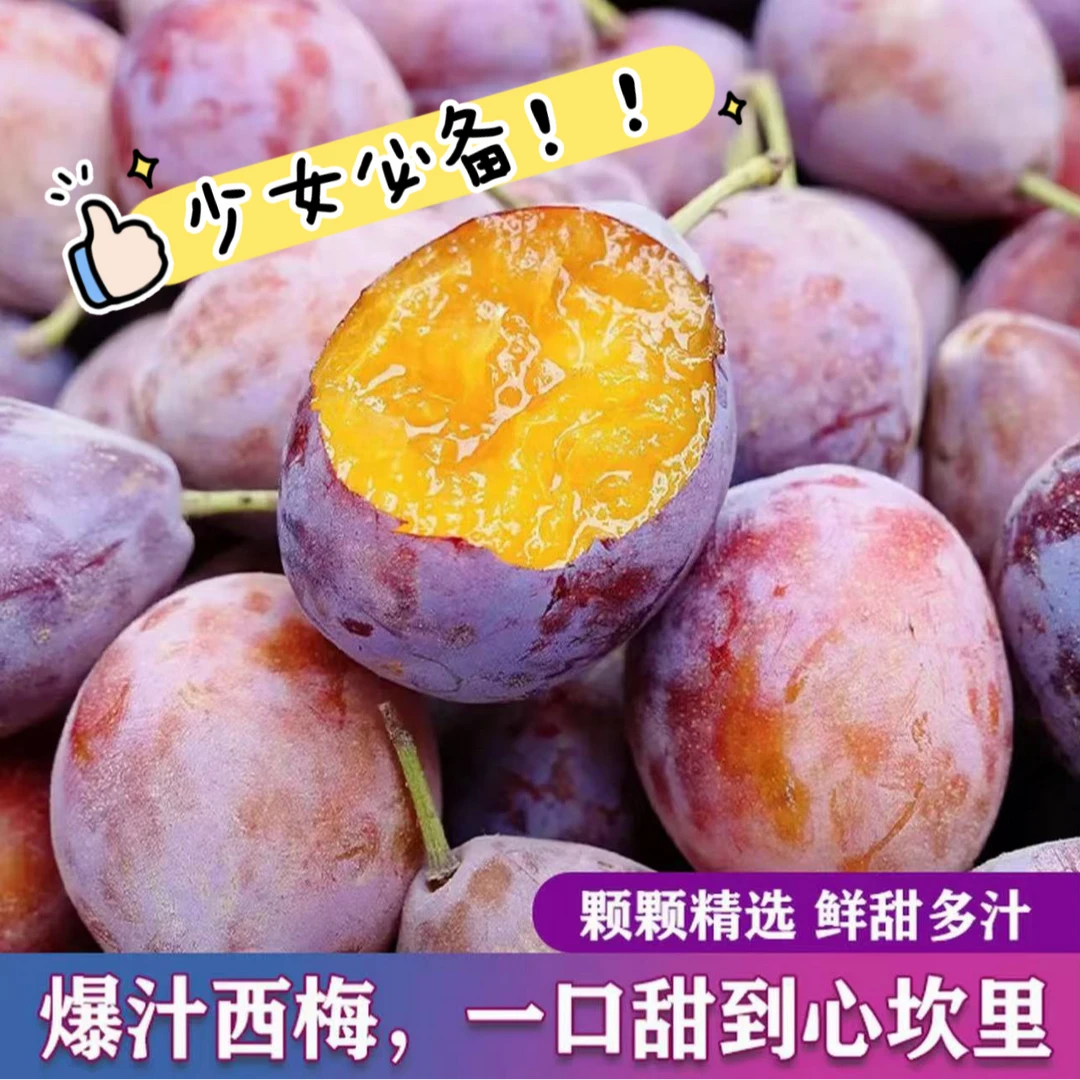 顺丰京东包邮-头茬新疆喀什西梅法兰西西梅伽师西梅少女必备水果X
