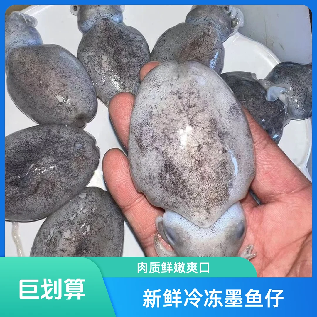 小墨鱼海鲜仔8-10个/斤精品