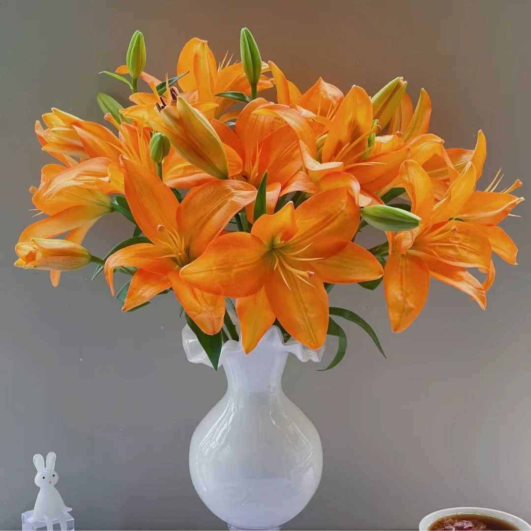 云画【橙色梦想三支多头12花苞】亚洲百合花农直采云南直发