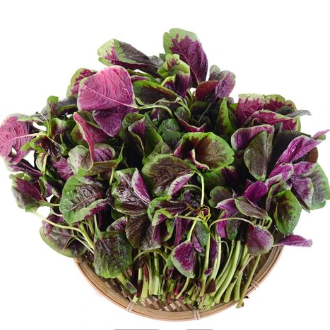 红苋菜（约500g）