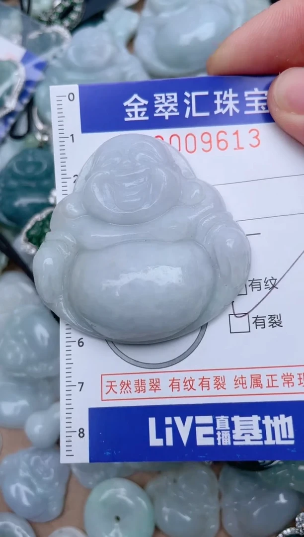 翡翠未镶嵌颈饰9613