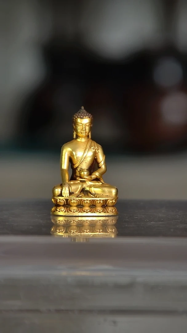 玉白*雀佛佛佛佛佛佛佛佛佛发