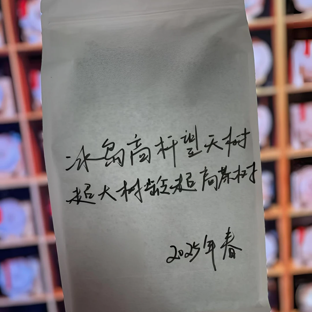 -2025年春 冰岛高杆望天树超大树龄超高茶树 普洱生茶