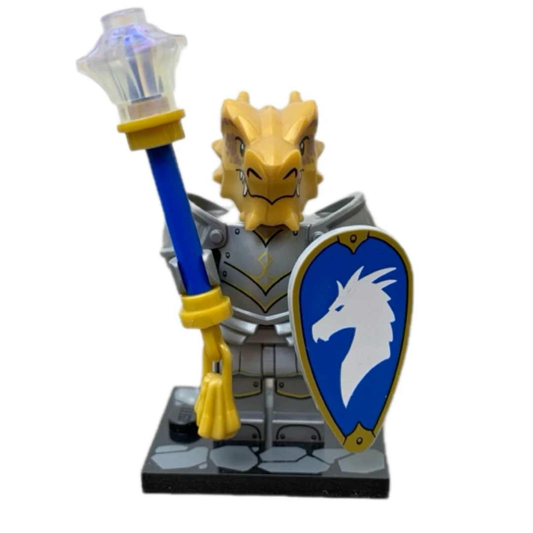 71047 龙与地下城 龙商圣骑士人仔