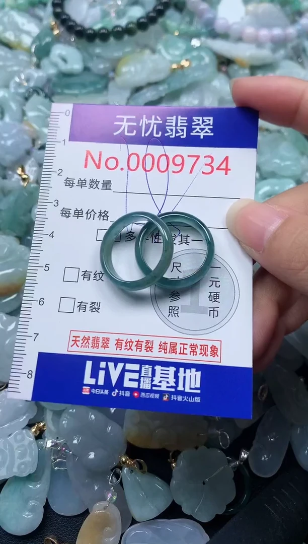 颈饰未镶嵌翡翠9734