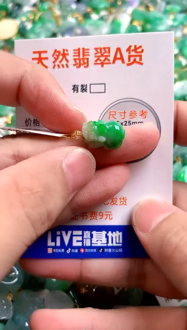 颈饰未镶嵌翡翠0399286479