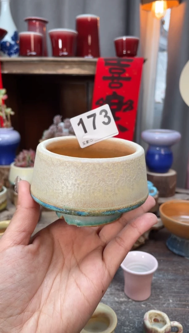 【闪购商品】摆件173知木小芳花盆