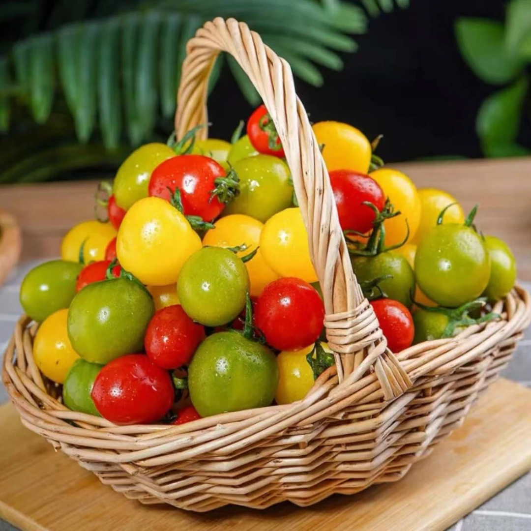 【顺丰快递·送货上门】自然熟小番茄圣女果老人宝妈小孩放心吃