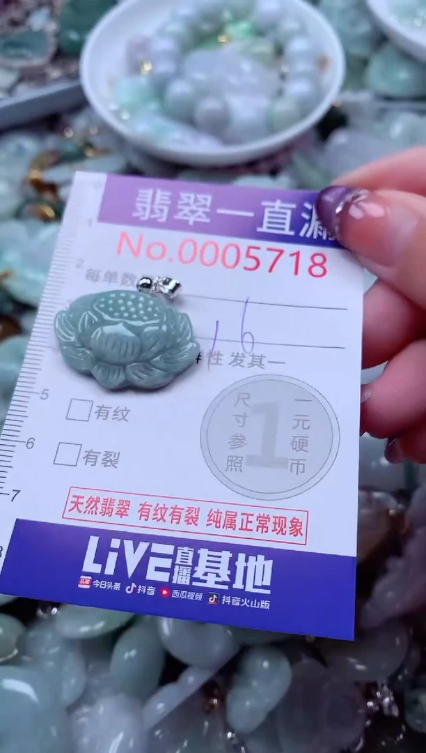 翡翠未镶嵌吊坠(不含链)5718