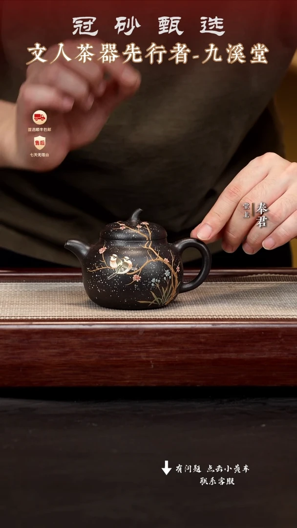 茶壶紫砂九溪堂壶196