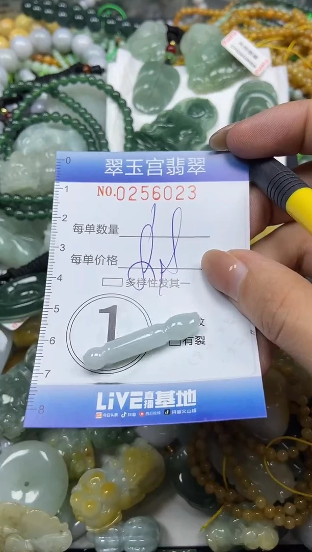 颈饰未镶嵌翡翠闪购C0256023