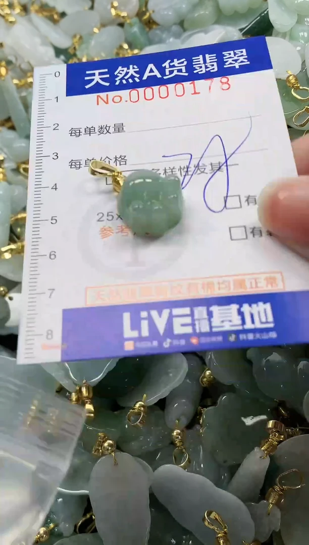 颈饰未镶嵌翡翠纯天然a货翡翠