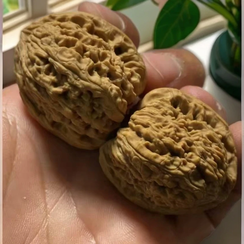 老树麒麟纹大官帽文玩核桃骨质棒手感佳