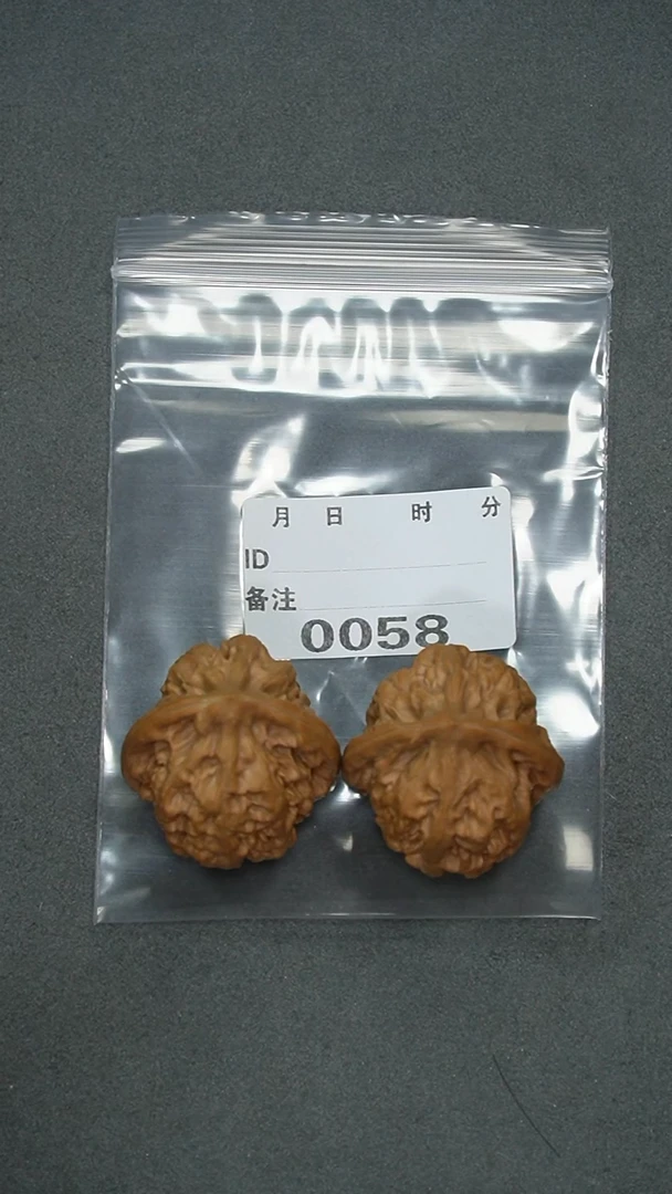 【闪购商品】文玩核桃把件39承德粗筋