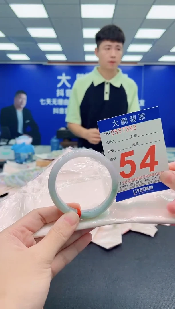 未镶嵌手镯翡翠AAAAAAAAA