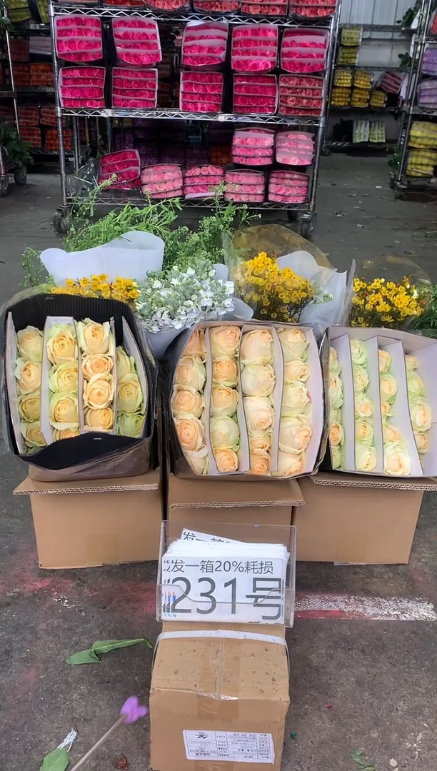 231号♥中通含20%耗损发一箱鲜花