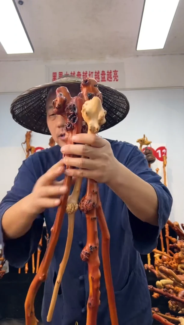 黑果木其他黑果木853