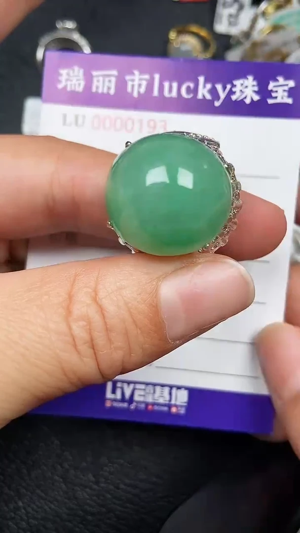 颈饰未镶嵌翡翠0193