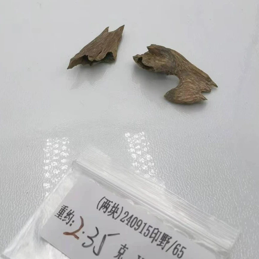 （两块）重约2.35克  240915印野/65（料） 天然木艺