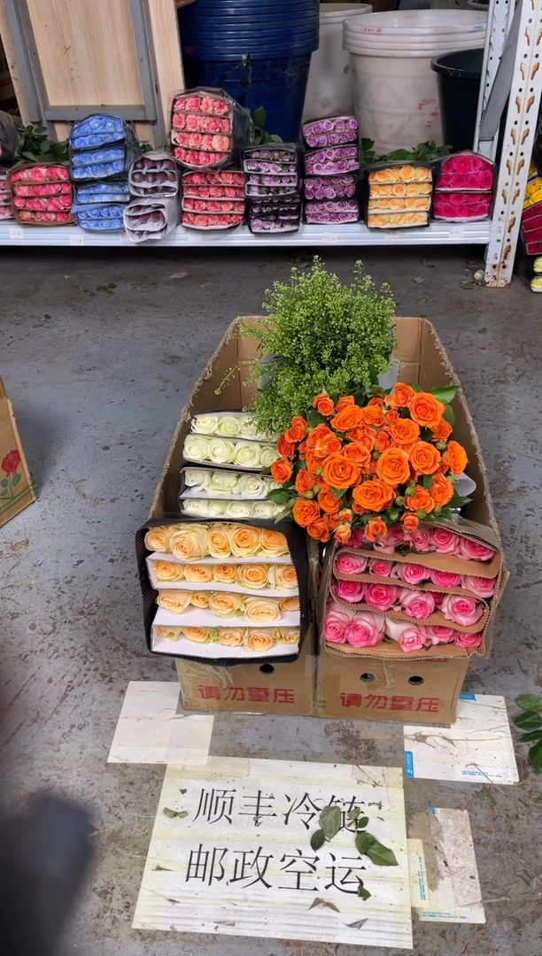 骄傲20枝+香槟20枝+爱莎20枝+橙芭比10枝+绿林草