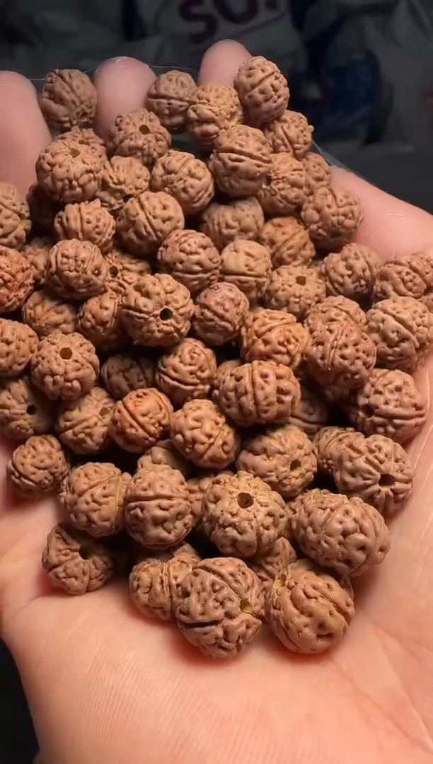 手串金刚菩提非全品老树王散籽10-11mm一份一百颗