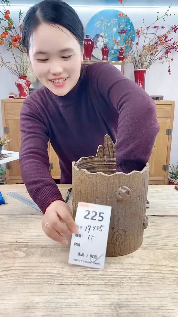 【闪购商品】红陶225