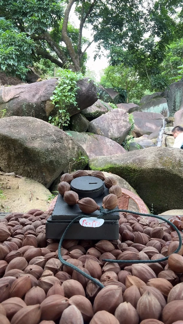 手串橄榄核199.29梅林铁核