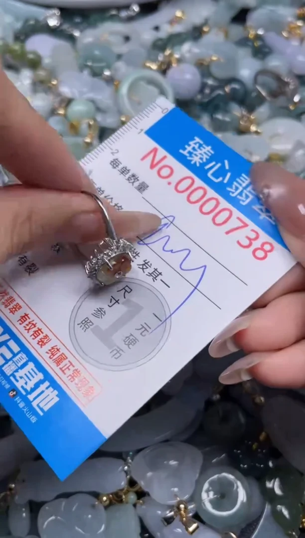 颈饰未镶嵌翡翠738