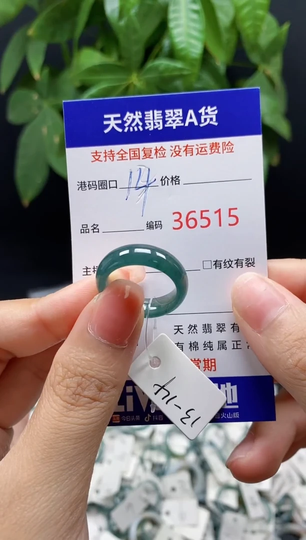 翡翠戒指未镶嵌天然翡翠戒圈6515