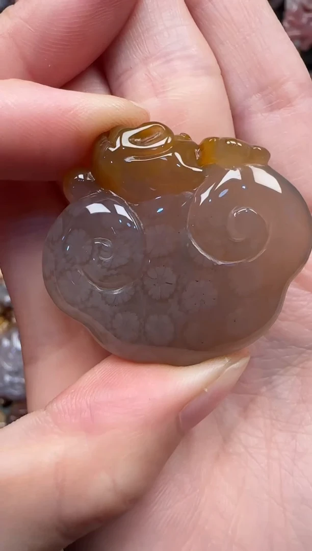 颈饰未镶嵌硅化珊瑚（珊瑚玉）880