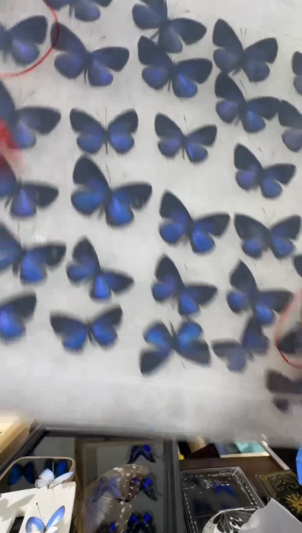 木竖款雅灰加灰蝶两个木盒