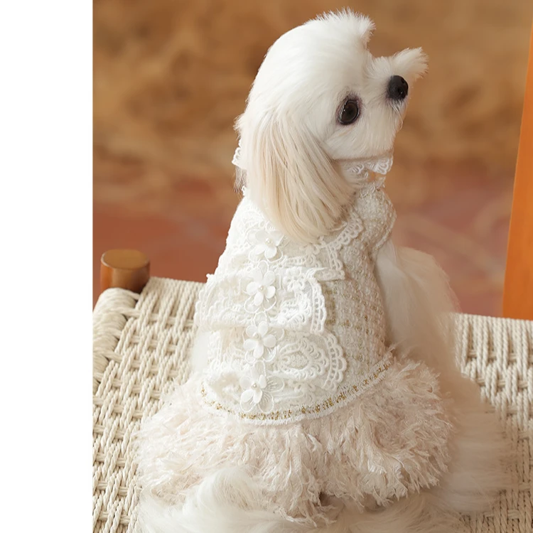 GemPaws高级感公主风宠物衣服秋冬新款中小型犬小香风裙子