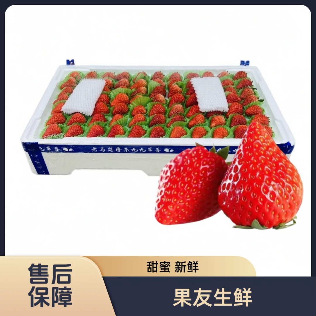 【大板奶油草莓】新鲜 甜蜜 整箱带箱3斤左右 仅限太原晋中吕梁拍