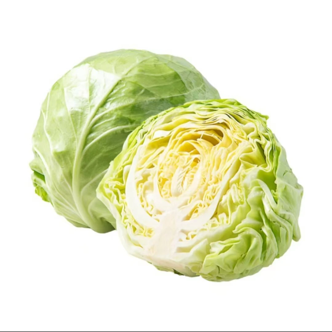 ⑥⑨ • 包菜   约700g