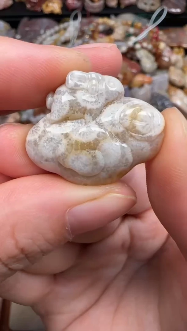 硅化珊瑚（珊瑚玉）未镶嵌颈饰718