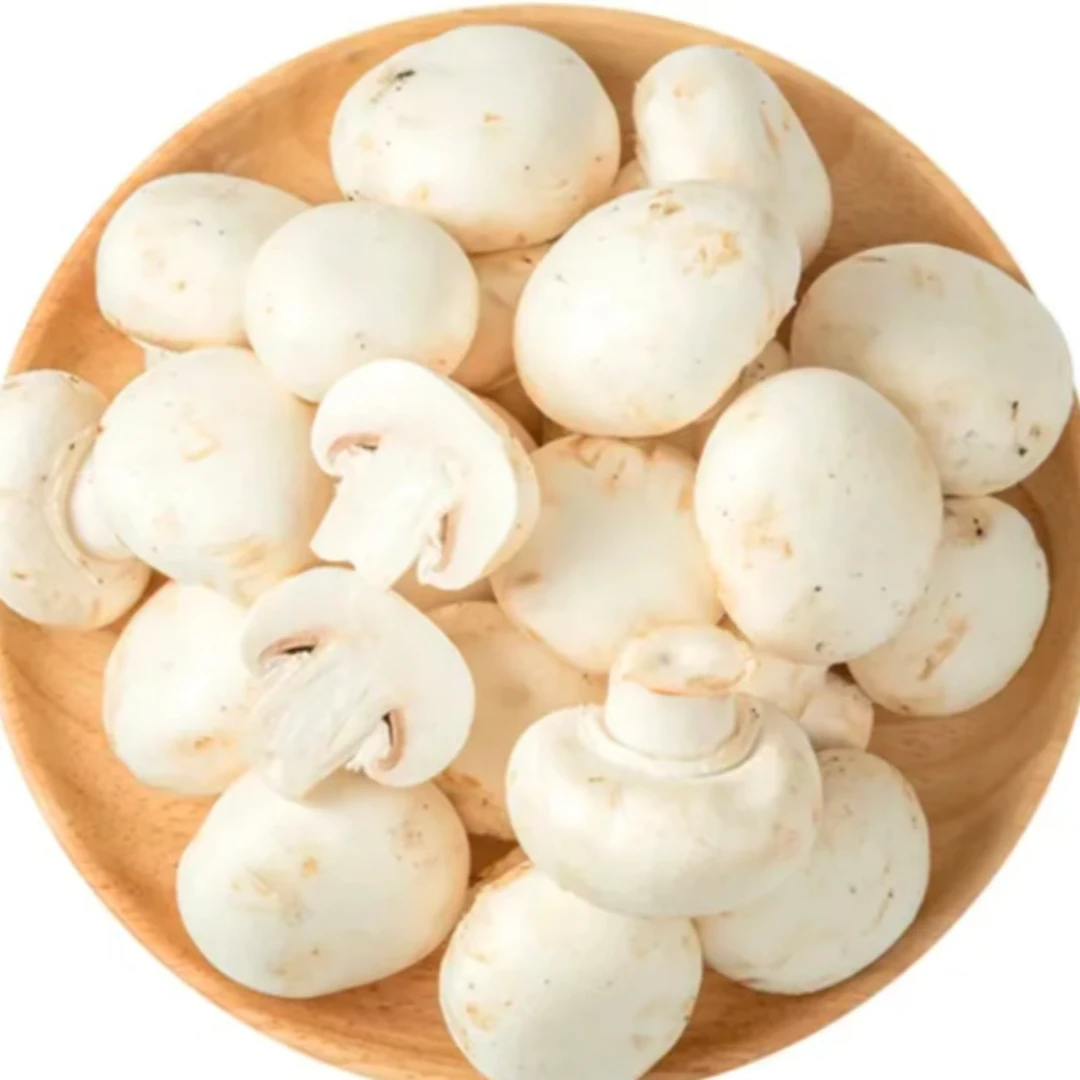 【圆白菇】新鲜圆白菇3盒（约690-750g）圆白菇