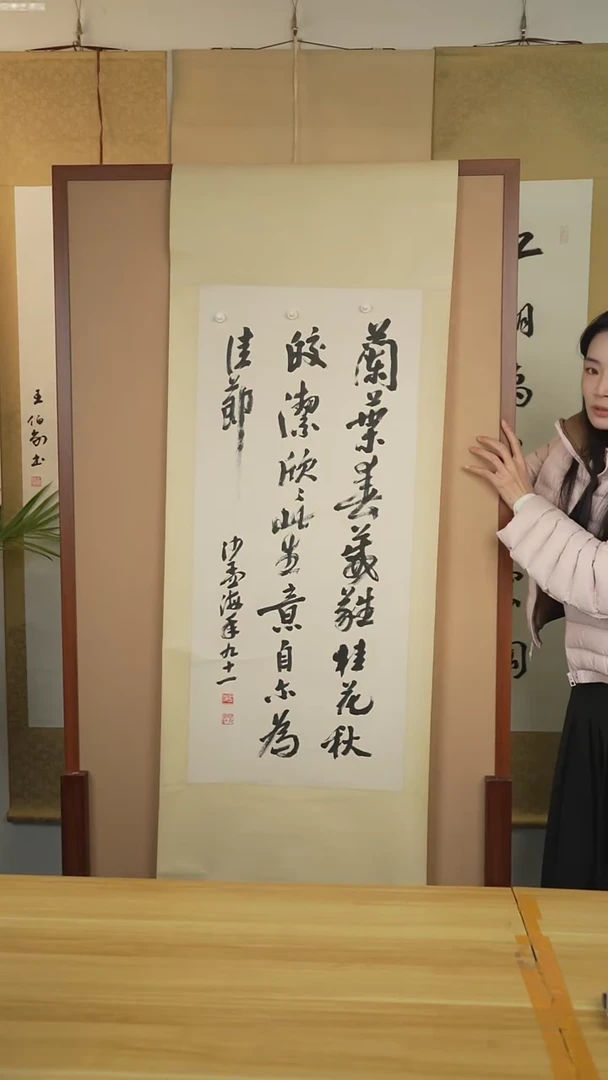 书法沙老 书法立轴 四尺